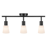 Cole 3 Light Ceiling Spotlight Bar
