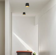 Torone Surface Mounted Downlight, Black/Brass