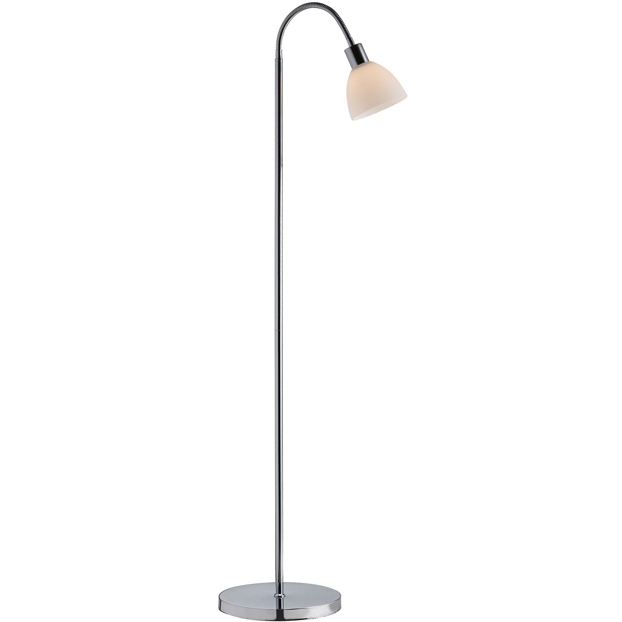 Ray63214033_1.jpg