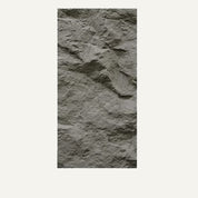 Asthene Wall Panel