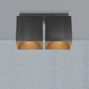 Ethan Square 2 Spot Surface Mount Downlight