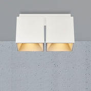 Ethan Square 2 Spot Surface Mount Downlight