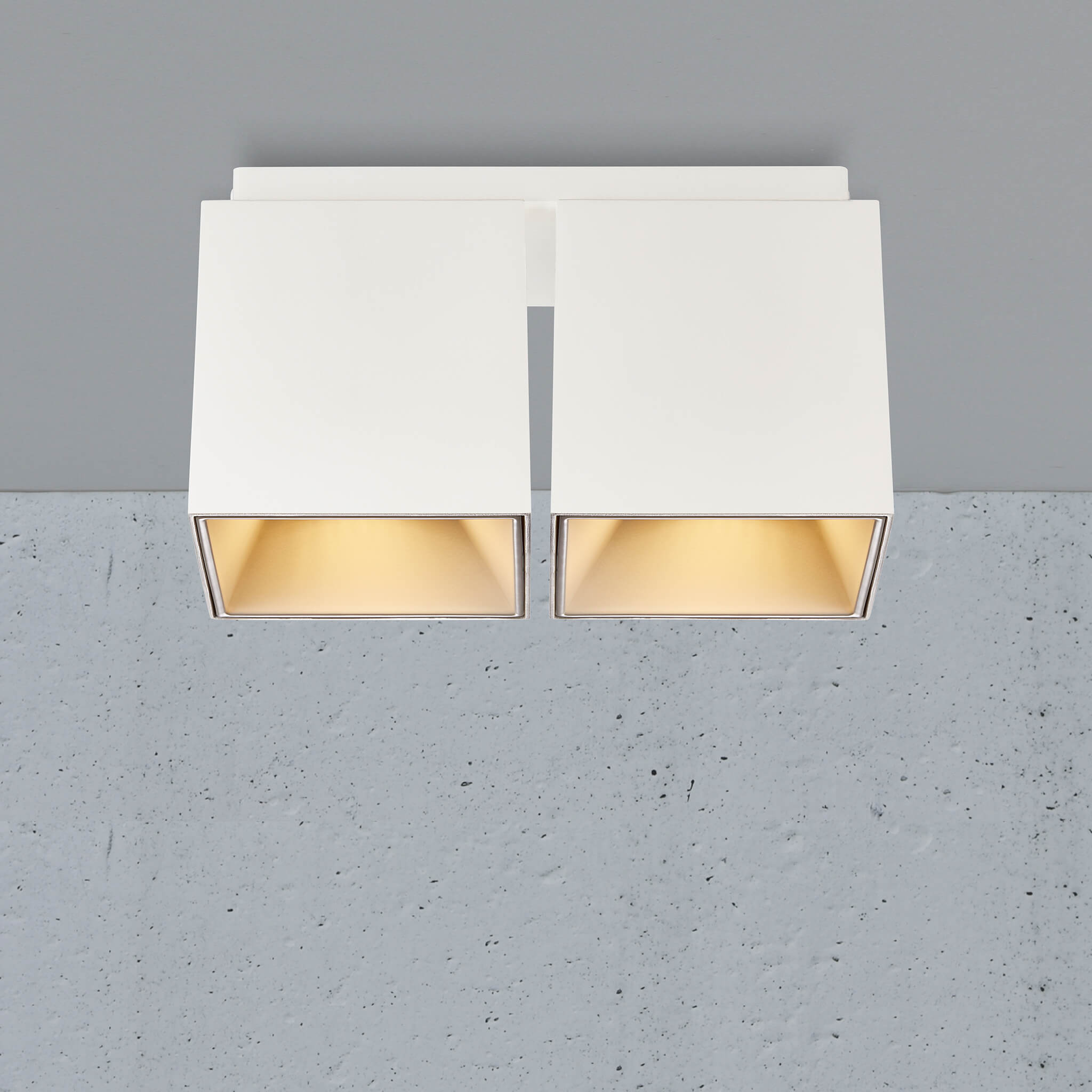 Ethan Square 2 Spot Surface Mount Downlight