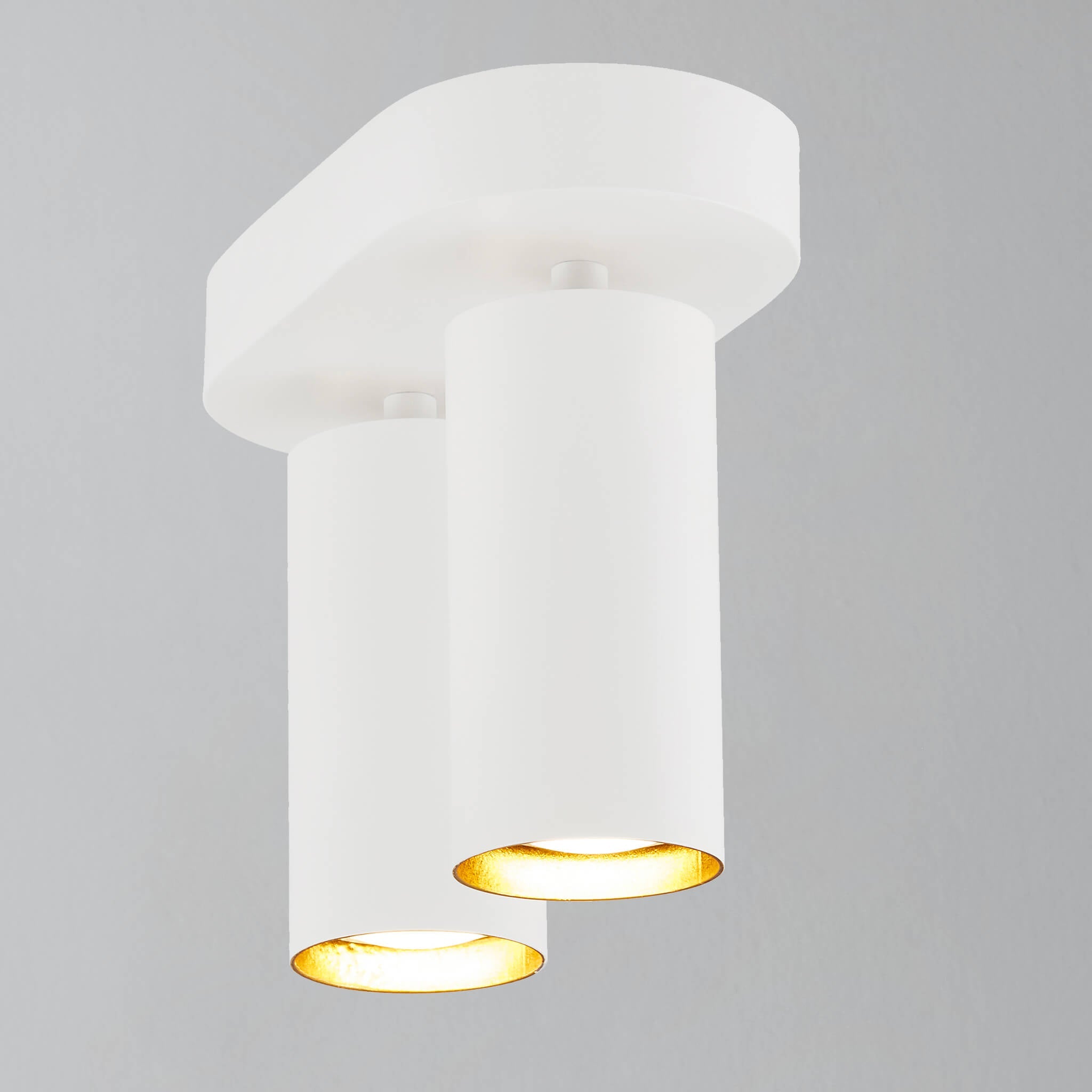 Mimi 2 Light Ceiling Spotlight