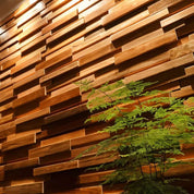 Ronus Wall Panel