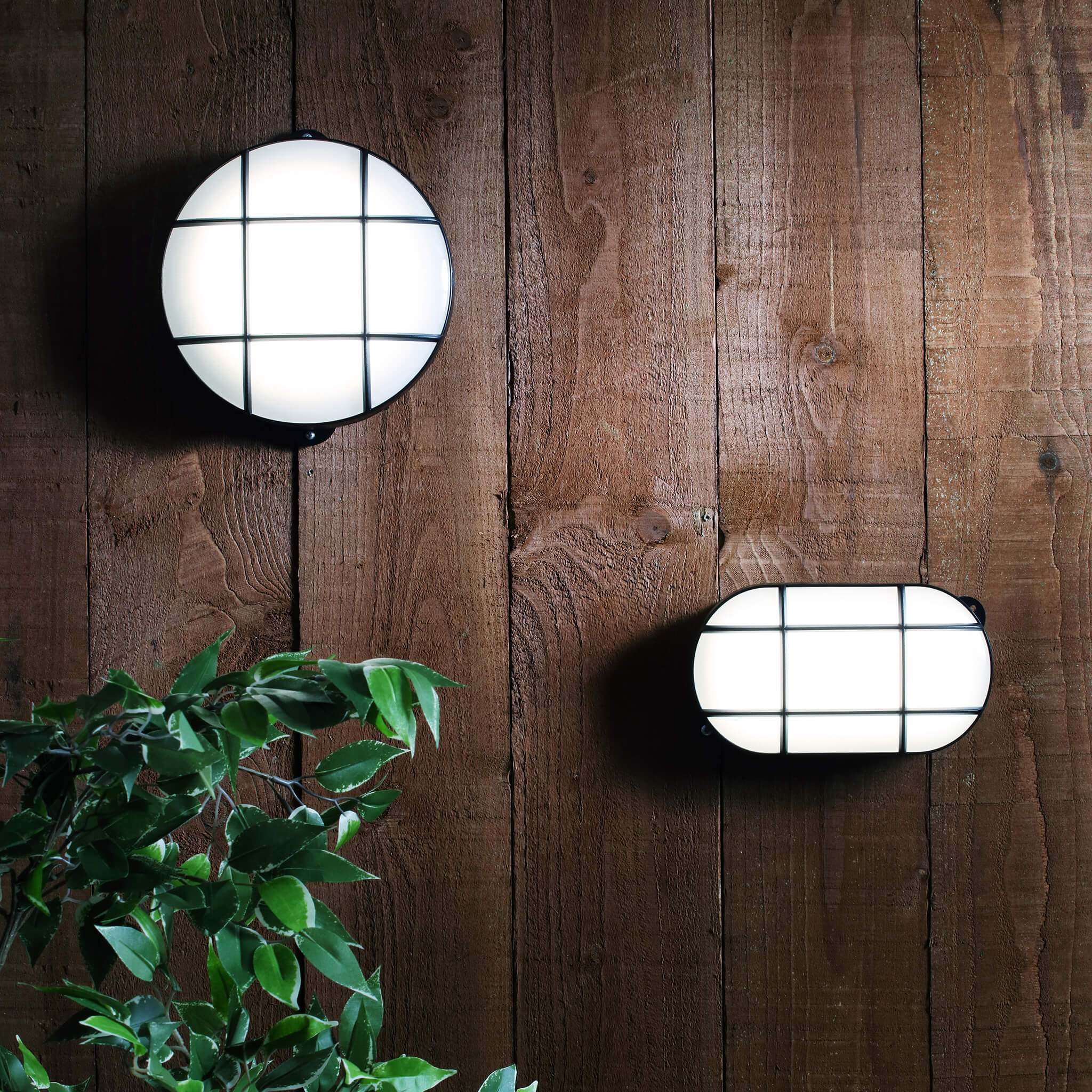 vista-cool-white-led-polycarbonate-bulkhead-IP65_589e34e3-4a9f-4cd7-9c71-a4b13022b2fb.jpg